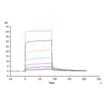 SPR Assay - Recombinant Cynomolgus macaque CD226 Protein (C-terminal His Tag) (A330267) - Antibodies.com