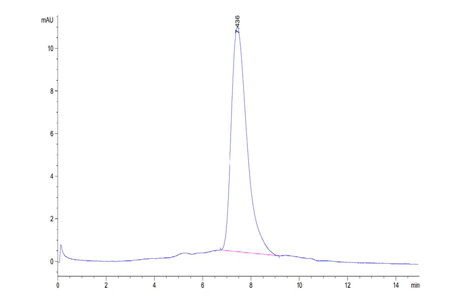 SEC-HPLC - Recombinant Human CD226 Protein (Biotin) (C-terminal His and Avi Tag) (A330268) - Antibodies.com