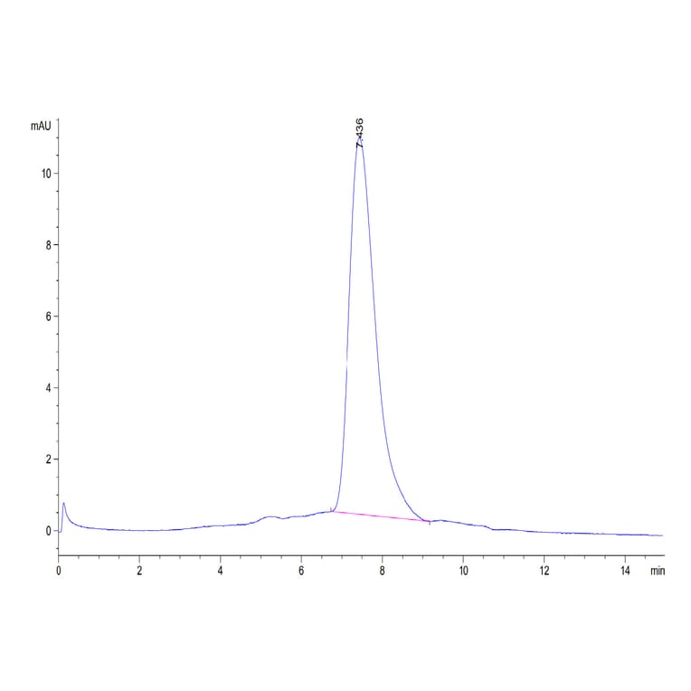 SEC-HPLC - Recombinant Human CD226 Protein (Biotin) (C-terminal His and Avi Tag) (A330268) - Antibodies.com