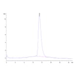 SEC-HPLC - Recombinant Human CD226 Protein (Biotin) (C-terminal His and Avi Tag) (A330268) - Antibodies.com