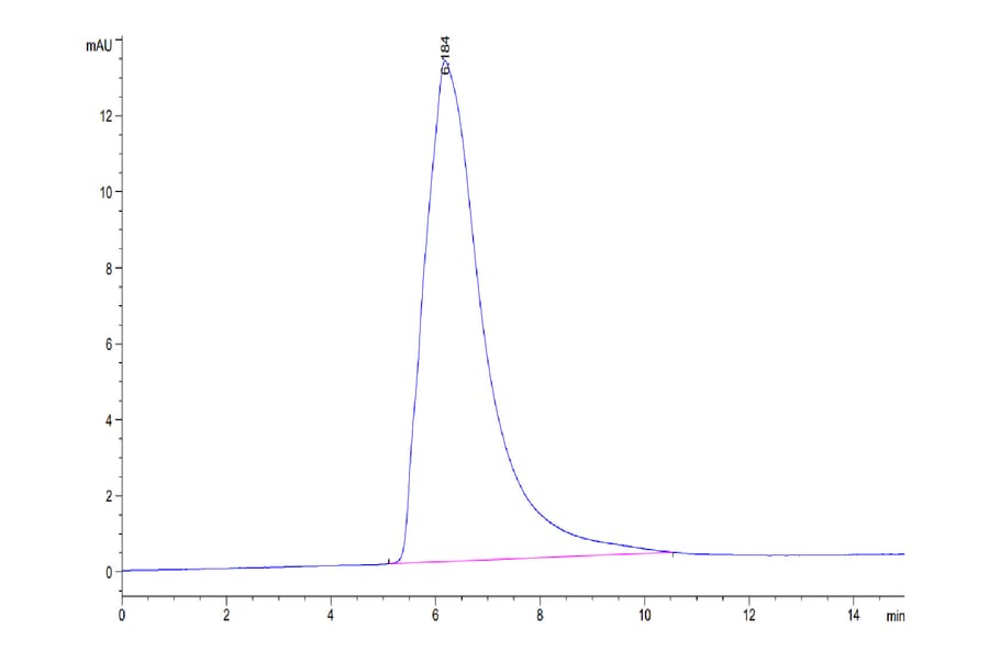 SEC-HPLC - Recombinant Human CD226 Protein (C-terminal Human Fc Tag) (A330269) - Antibodies.com
