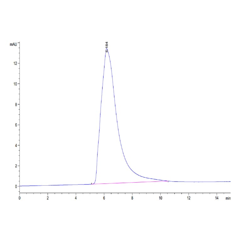 SEC-HPLC - Recombinant Human CD226 Protein (C-terminal Human Fc Tag) (A330269) - Antibodies.com