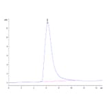 SEC-HPLC - Recombinant Human CD226 Protein (C-terminal Human Fc Tag) (A330269) - Antibodies.com