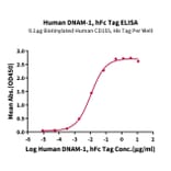 Standard Curve - Recombinant Human CD226 Protein (C-terminal Human Fc Tag) (A330269) - Antibodies.com