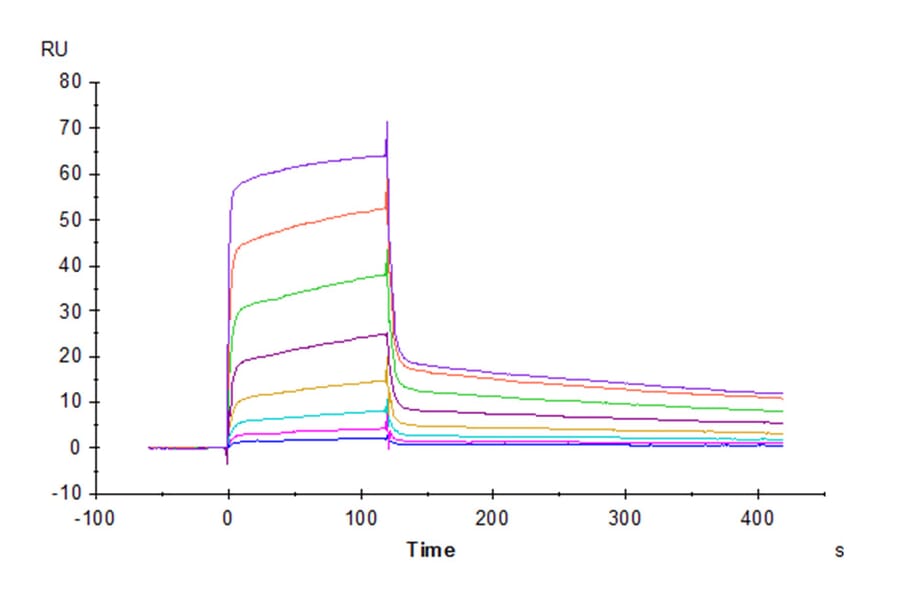 SPR Assay - Recombinant Human CD226 Protein (C-terminal Human Fc Tag) (A330269) - Antibodies.com