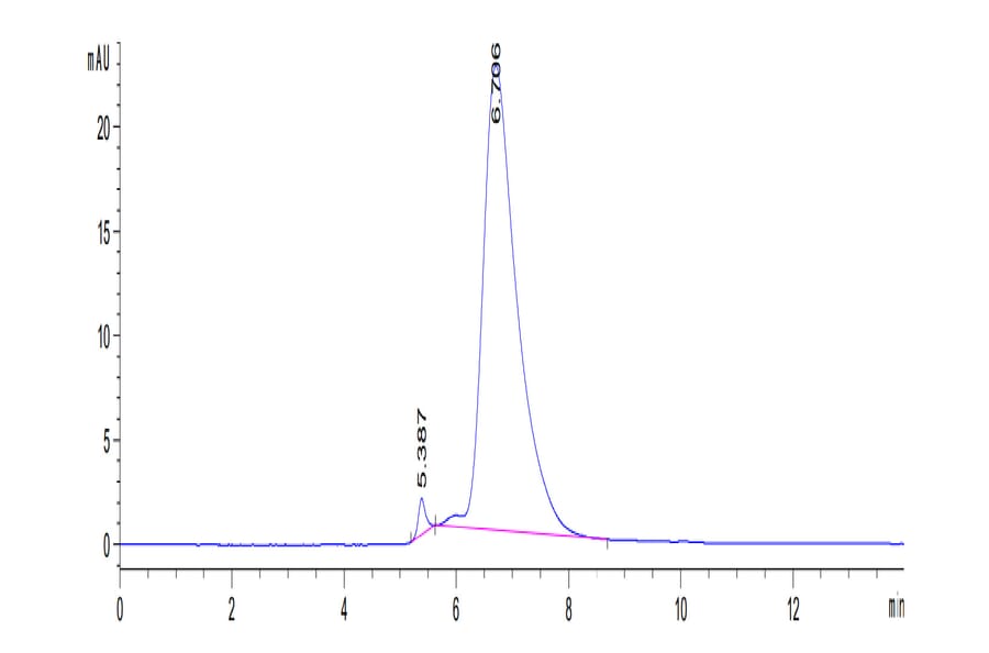SEC-HPLC - Recombinant Human CD226 Protein (C-terminal His and Avi Tag) (A330270) - Antibodies.com