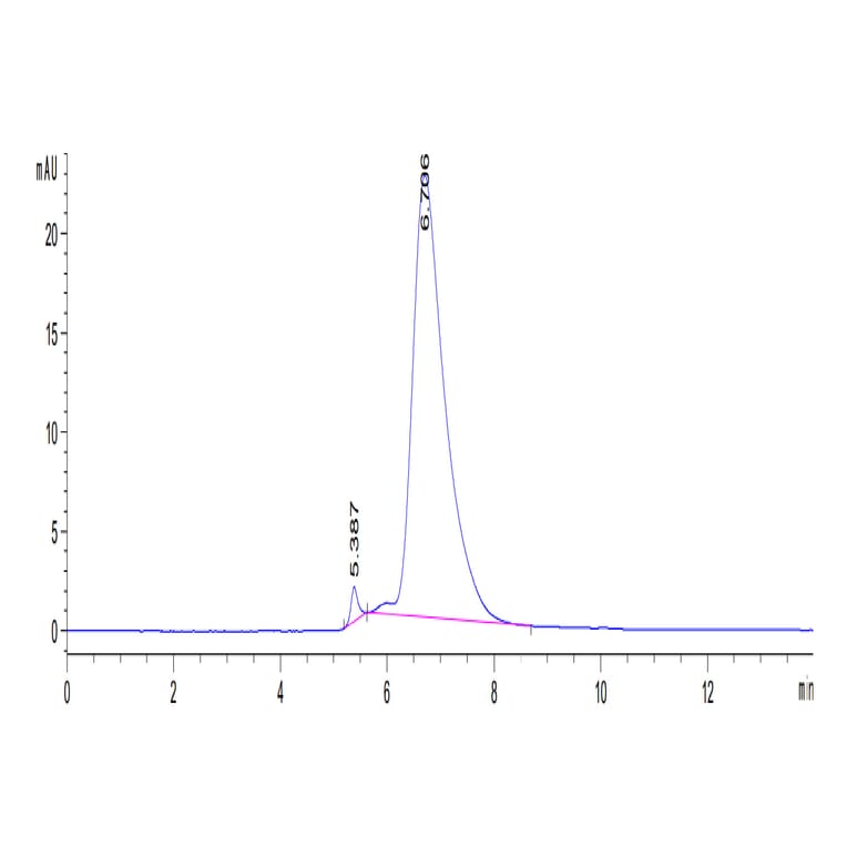 SEC-HPLC - Recombinant Human CD226 Protein (C-terminal His and Avi Tag) (A330270) - Antibodies.com
