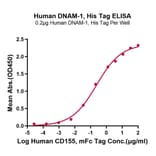 Standard Curve - Recombinant Human CD226 Protein (C-terminal His and Avi Tag) (A330270) - Antibodies.com