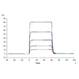 SPR Assay - Recombinant Human CD226 Protein (C-terminal His and Avi Tag) (A330270) - Antibodies.com