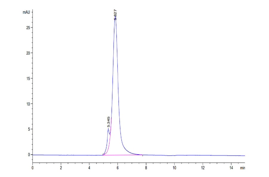 SEC-HPLC - Recombinant Human CD24 Protein (C-terminal Llama Fc Tag) (A330275) - Antibodies.com