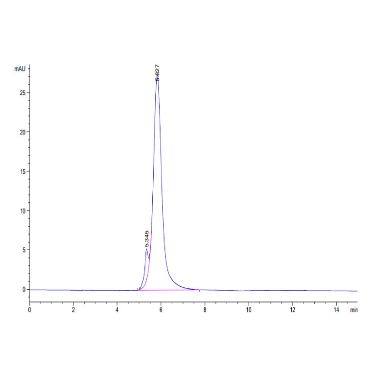 SEC-HPLC - Recombinant Human CD24 Protein (C-terminal Llama Fc Tag) (A330275) - Antibodies.com