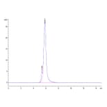 SEC-HPLC - Recombinant Human CD24 Protein (C-terminal Llama Fc Tag) (A330275) - Antibodies.com