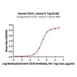 Standard Curve - Recombinant Human CD24 Protein (C-terminal Llama Fc Tag) (A330275) - Antibodies.com