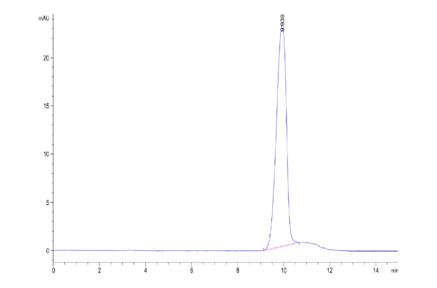 SEC-HPLC - Recombinant Human CD24 Protein (Biotin) (C-terminal His and Avi Tag) (A330276) - Antibodies.com