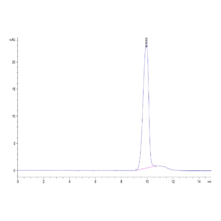 SEC-HPLC - Recombinant Human CD24 Protein (Biotin) (C-terminal His and Avi Tag) (A330276) - Antibodies.com