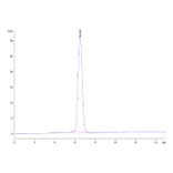 SEC-HPLC - Recombinant Human CD24 Protein (Biotin) (C-terminal Mouse Fc Tag) (A330277) - Antibodies.com