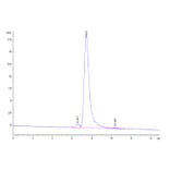 SEC-HPLC - Recombinant Human CD24 Protein (Biotin) (C-terminal Human Fc Tag) (A330278) - Antibodies.com