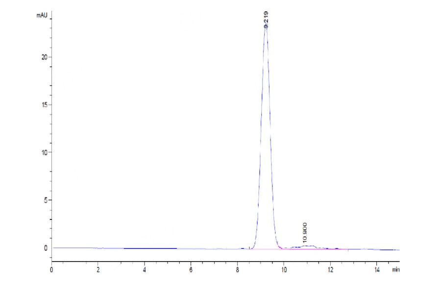 SEC-HPLC - Recombinant Human CD24 Protein (C-terminal His and Avi Tag) (A330279) - Antibodies.com