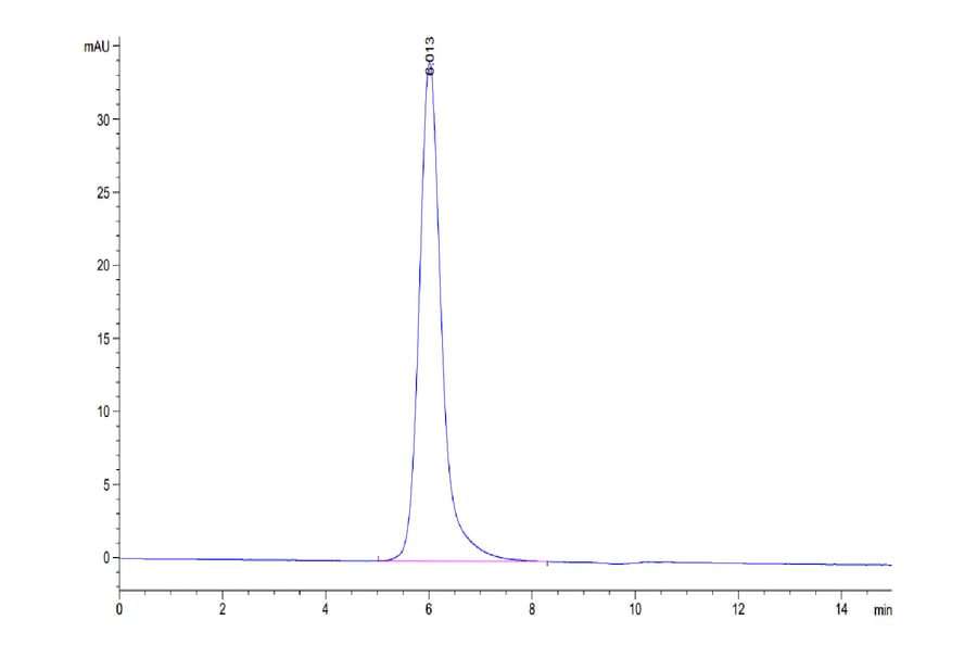 SEC-HPLC - Recombinant Human CD24 Protein (C-terminal Mouse Fc Tag) (A330280) - Antibodies.com