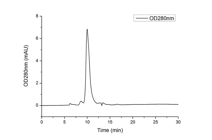 SEC-HPLC - Recombinant Human CD25 Protein (C-terminal His Tag) (A330283) - Antibodies.com