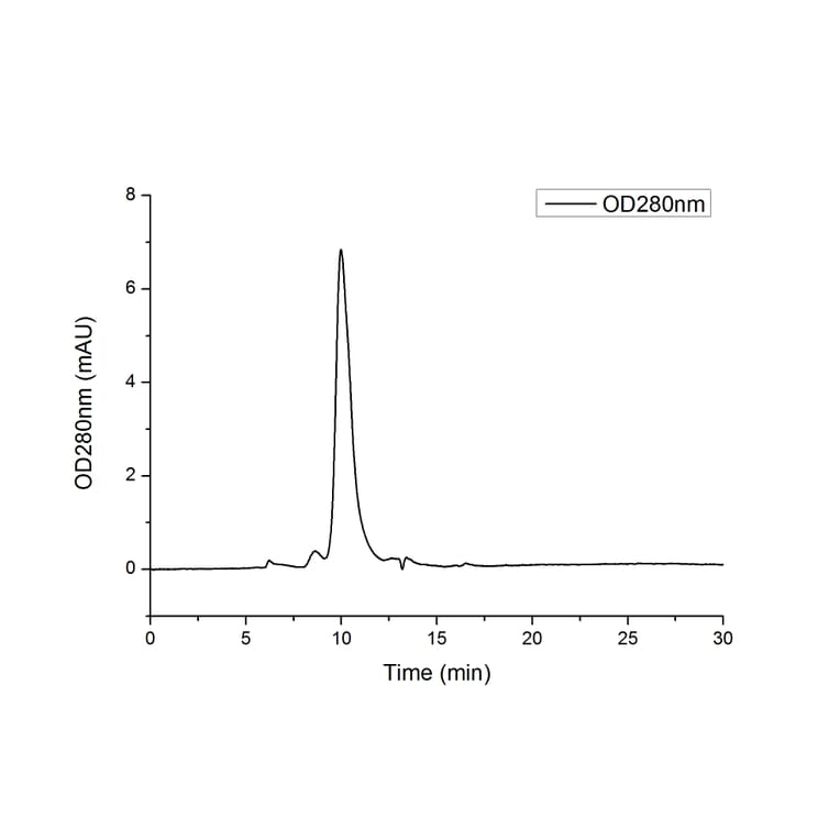 SEC-HPLC - Recombinant Human CD25 Protein (C-terminal His Tag) (A330283) - Antibodies.com