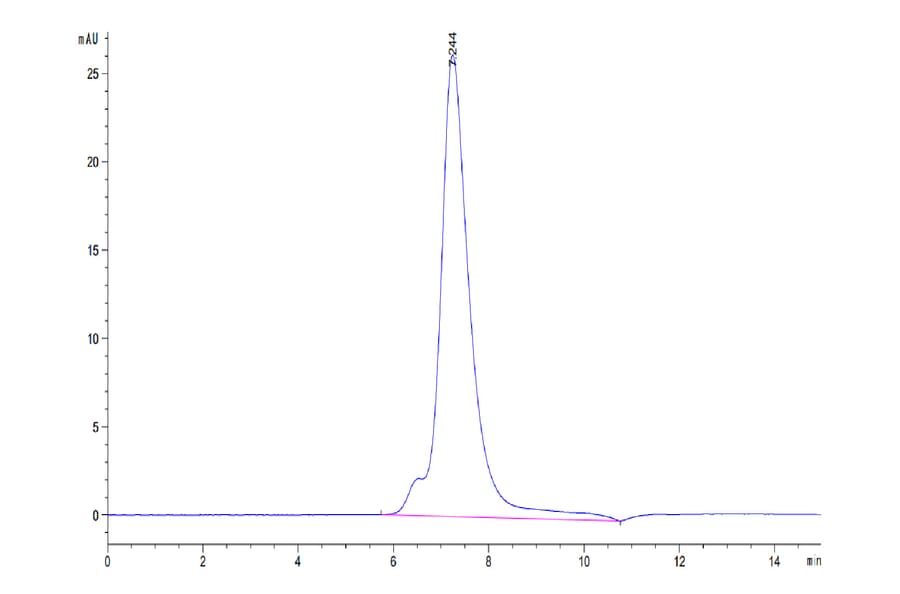 SEC-HPLC - Recombinant Human CD25 Protein (Biotin) (C-terminal His and Avi Tag) (A330284) - Antibodies.com