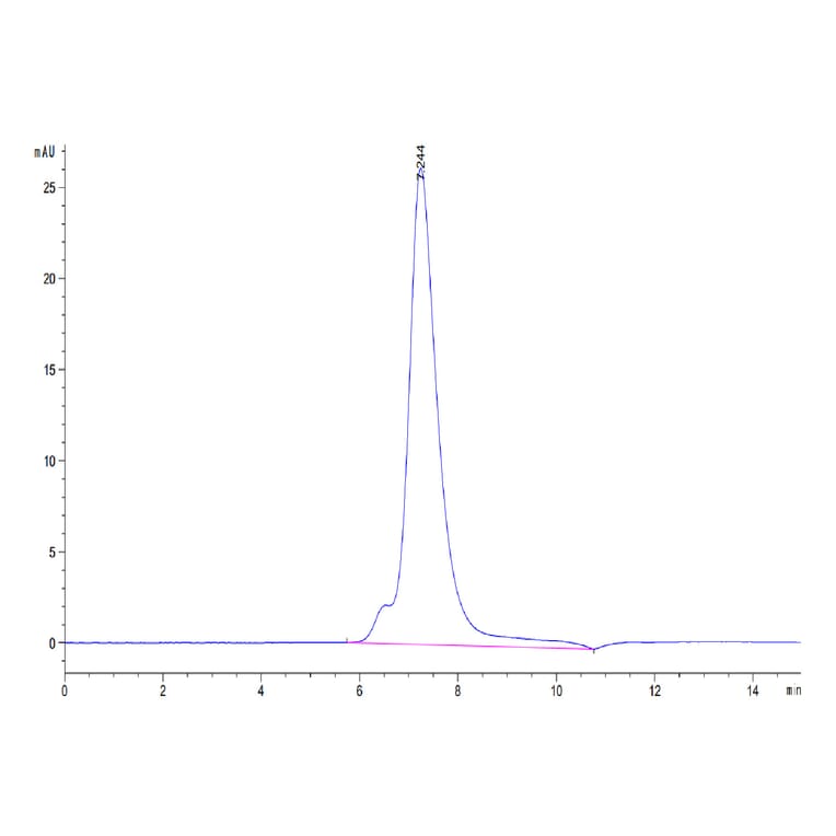 SEC-HPLC - Recombinant Human CD25 Protein (Biotin) (C-terminal His and Avi Tag) (A330284) - Antibodies.com