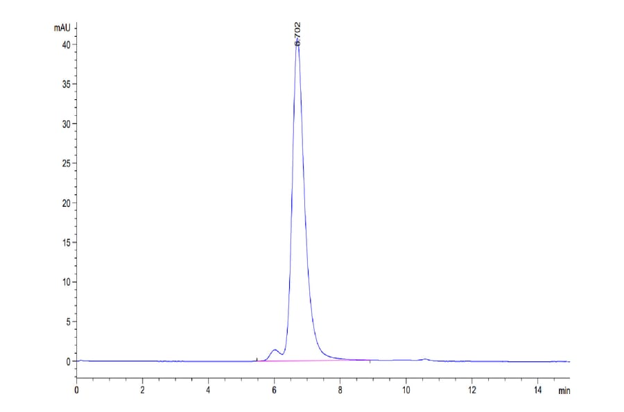 SEC-HPLC - Recombinant Human CD25 Protein (C-terminal His and Avi Tag) (A330285) - Antibodies.com