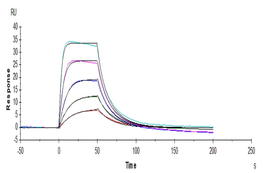 SPR Assay - Recombinant Human CD25 Protein (C-terminal His and Avi Tag) (A330285) - Antibodies.com