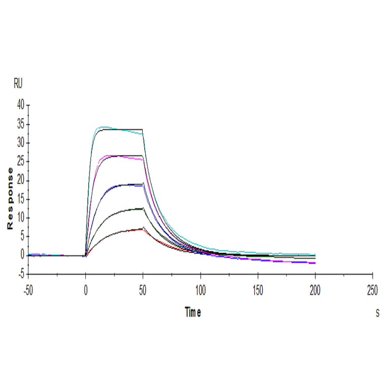 SPR Assay - Recombinant Human CD25 Protein (C-terminal His and Avi Tag) (A330285) - Antibodies.com