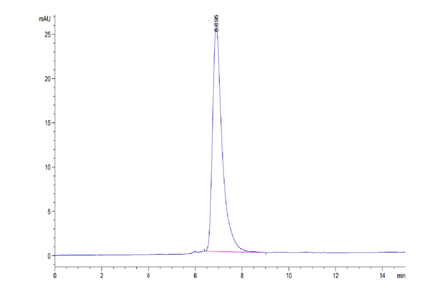 SEC-HPLC - Recombinant Human CD27 Protein (C-terminal His Tag) (A330287) - Antibodies.com