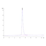 SEC-HPLC - Recombinant Human CD27 Protein (C-terminal His Tag) (A330287) - Antibodies.com