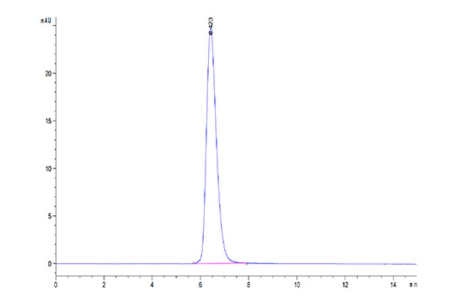 SEC-HPLC - Recombinant Canine CD28 Protein (C-terminal Mouse Fc Tag) (A330289) - Antibodies.com