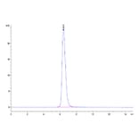 SEC-HPLC - Recombinant Canine CD28 Protein (C-terminal Mouse Fc Tag) (A330289) - Antibodies.com