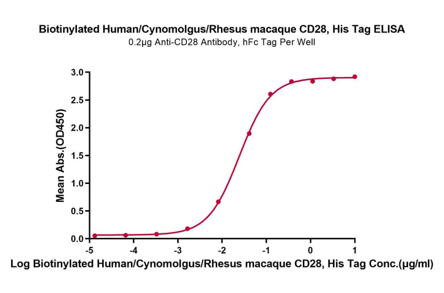Standard Curve - Recombinant Human CD28 Protein (Biotin) (N-terminal His and Avi Tag) (A330291) - Antibodies.com