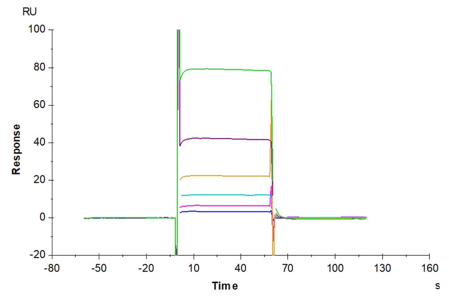 SPR Assay - Recombinant Human CD28 Protein (Biotin) (N-terminal His and Avi Tag) (A330291) - Antibodies.com