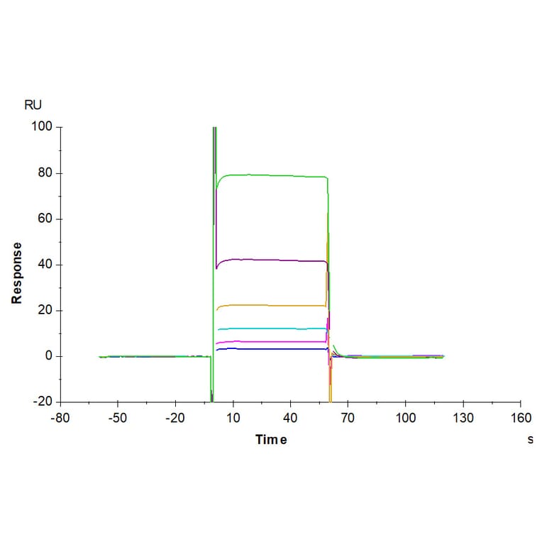 SPR Assay - Recombinant Human CD28 Protein (Biotin) (N-terminal His and Avi Tag) (A330291) - Antibodies.com