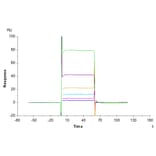SPR Assay - Recombinant Human CD28 Protein (Biotin) (N-terminal His and Avi Tag) (A330291) - Antibodies.com