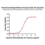 Standard Curve - Recombinant Human/Cynomolgus/Rhesus-macaque CD28 Protein (N-terminal His and Avi Tag) (A330292) - Antibodies.com