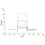 SPR Assay - Recombinant Human/Cynomolgus/Rhesus-macaque CD28 Protein (N-terminal His and Avi Tag) (A330292) - Antibodies.com