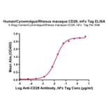 Standard Curve - Recombinant Human/Cynomolgus/Rhesus-macaque CD28 Protein (N-terminal Mouse Fc Tag) (A330293) - Antibodies.com