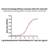 Standard Curve - Recombinant Human/Cynomolgus/Rhesus-macaque CD28 Protein (N-terminal Human Fc Tag) (A330294) - Antibodies.com