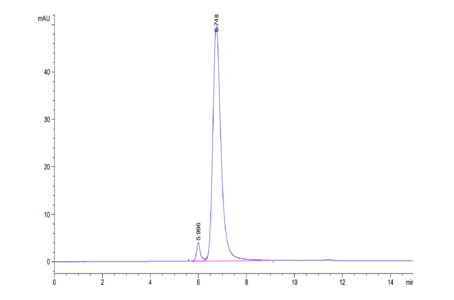 SEC-HPLC - Recombinant Human CD3 Protein (Biotin) (C-terminal Human Fc and Avi Tag) (A330296) - Antibodies.com