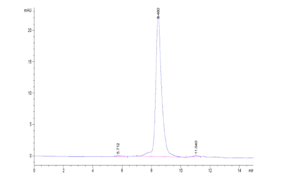 SEC-HPLC - Recombinant Human CD3 + CD3d Protein (Biotin) (C-terminal His Tag) (A330300) - Antibodies.com