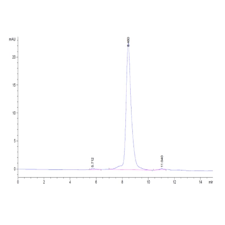 SEC-HPLC - Recombinant Human CD3 + CD3d Protein (Biotin) (C-terminal His Tag) (A330300) - Antibodies.com