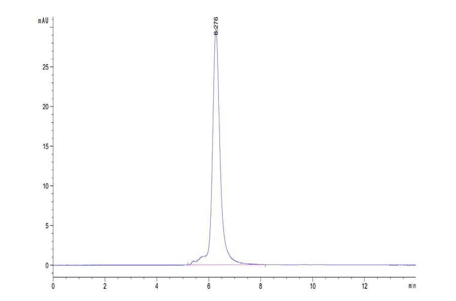 SEC-HPLC - Recombinant Human CD3 + CD3d Protein (C-terminal His Tag) (A330302) - Antibodies.com