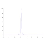 SEC-HPLC - Recombinant Human CD3 + CD3d Protein (C-terminal His Tag) (A330302) - Antibodies.com