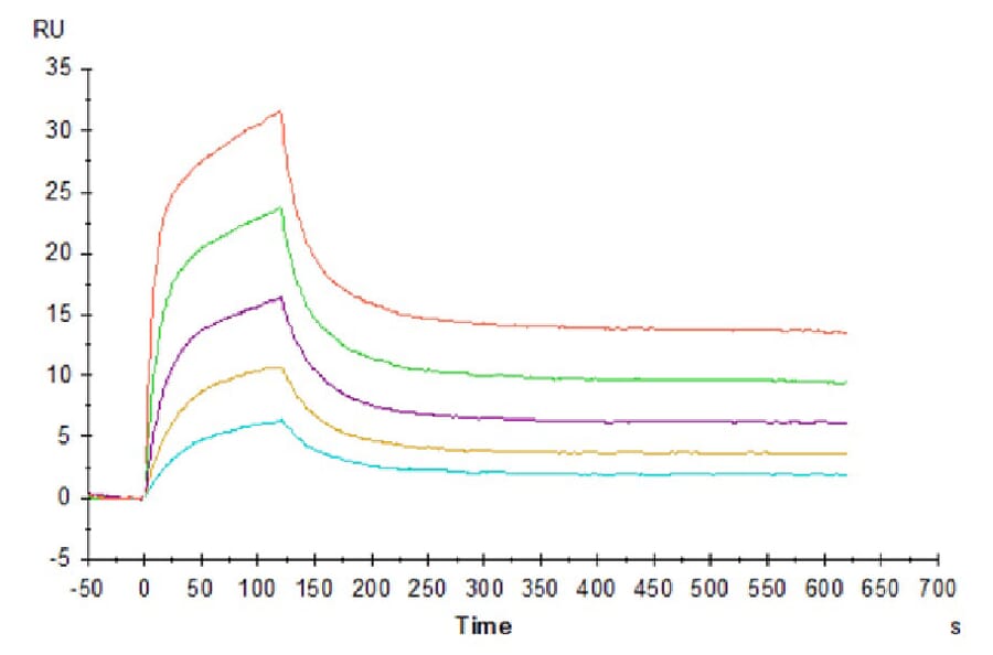 SPR Assay - Recombinant Human CD3 + CD3d Protein (C-terminal His Tag) (A330302) - Antibodies.com