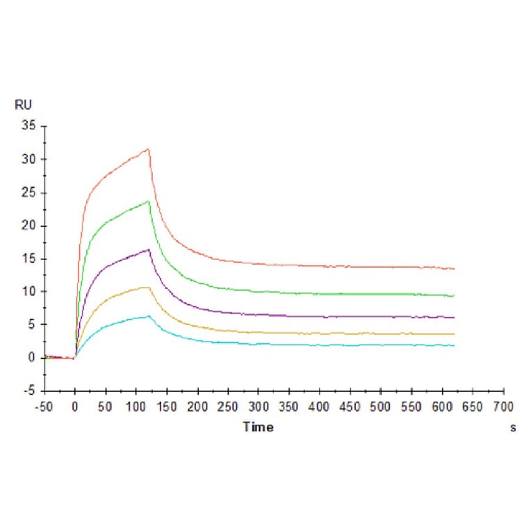 SPR Assay - Recombinant Human CD3 + CD3d Protein (C-terminal His Tag) (A330302) - Antibodies.com