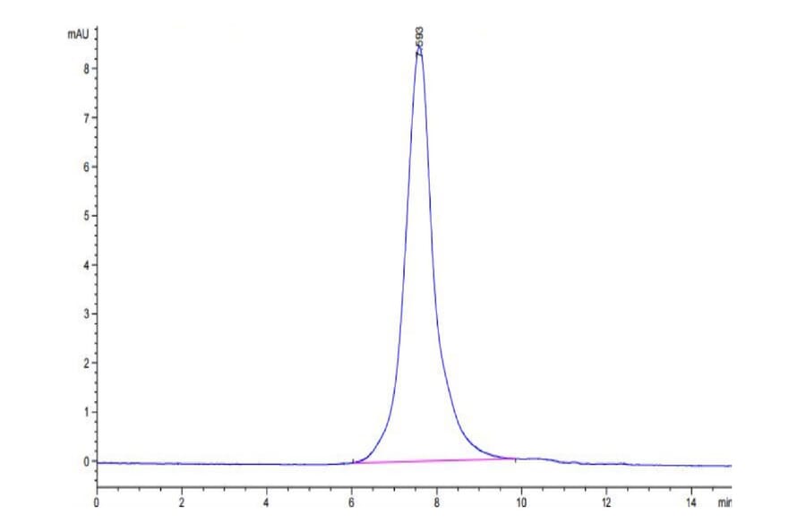 SEC-HPLC - Recombinant Human CD30 Protein (Biotin) (C-terminal His and Avi Tag) (A330304) - Antibodies.com